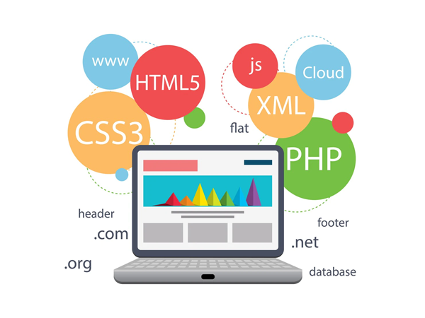 web app development